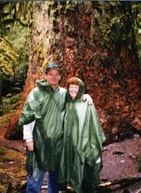 Hoh rain forest